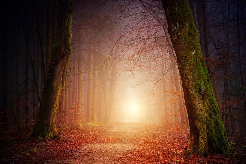 Black Forest, Germany